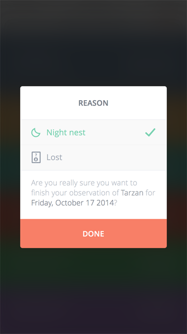 Pongo Finish Observation UI Pongo Finish Observation UI
