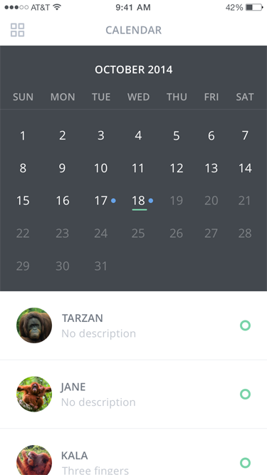 Pongo Calendar Overview UI Pongo Calendar Overview UI